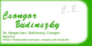 csongor budinszky business card